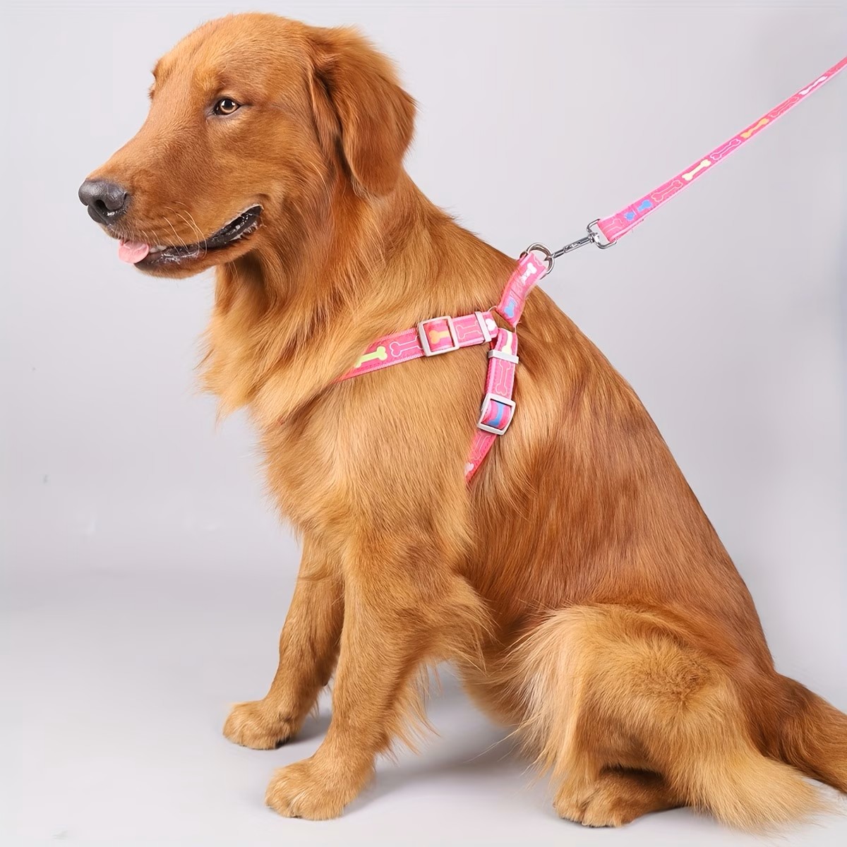 Adjustable Dog Harness with Qu - D Ring Strap recensione e prezzo