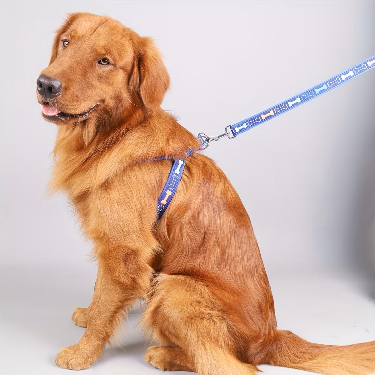 Adjustable Dog Harness with Qu - D Ring Strap recensione e prezzo
