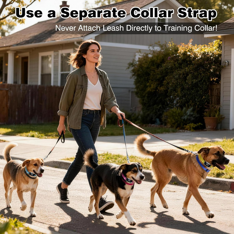 Dog Shock Collar Replacement S - D Ring Strap recensione e prezzo