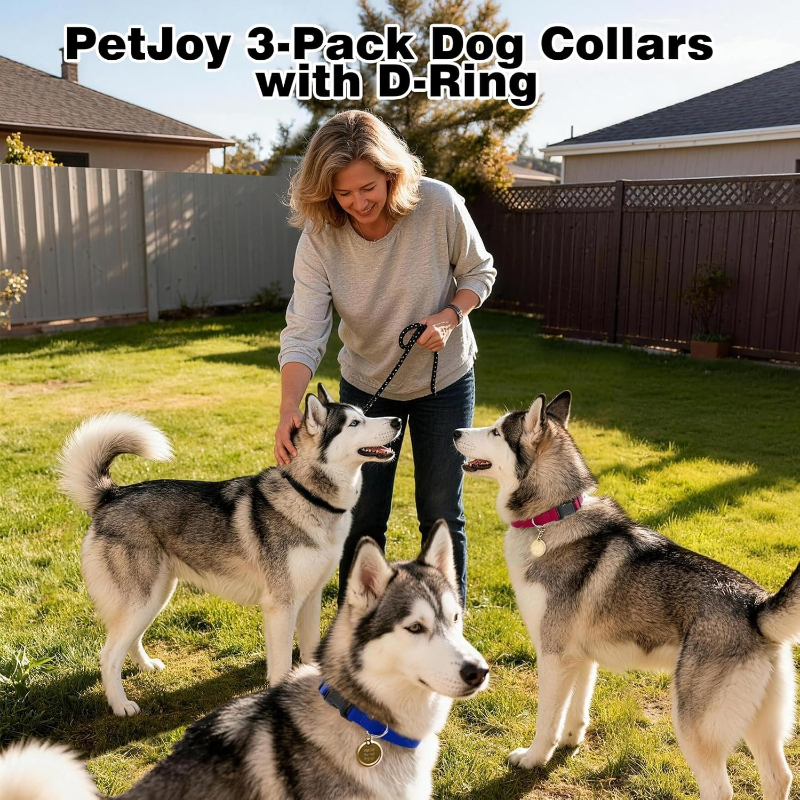 Dog Shock Collar Replacement S - D Ring Strap recensione e prezzo